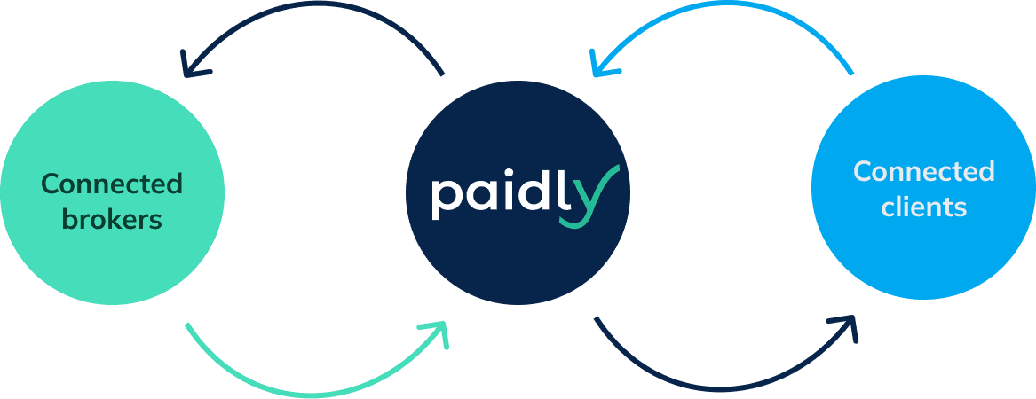 Visual representation of connected brokers and Paidly clients working together