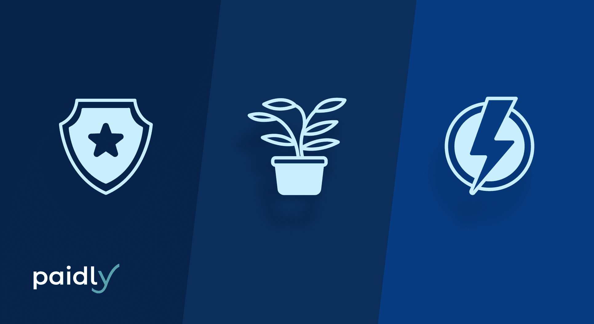 The 3 Types of Employee Benefits Every Company Needs Shield, plant, and lightning bolt with Paidly logo